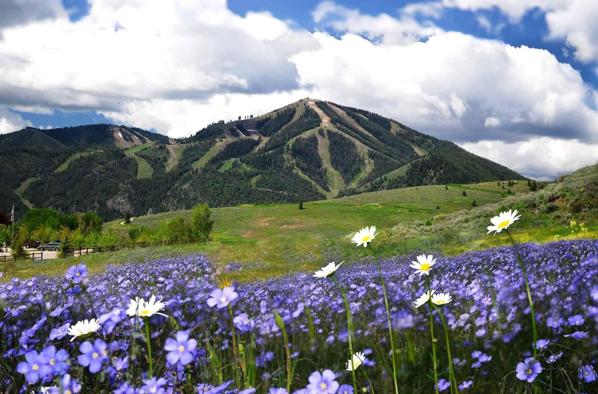 Meadowbrook Condos Ketchum Eksteriør bilde